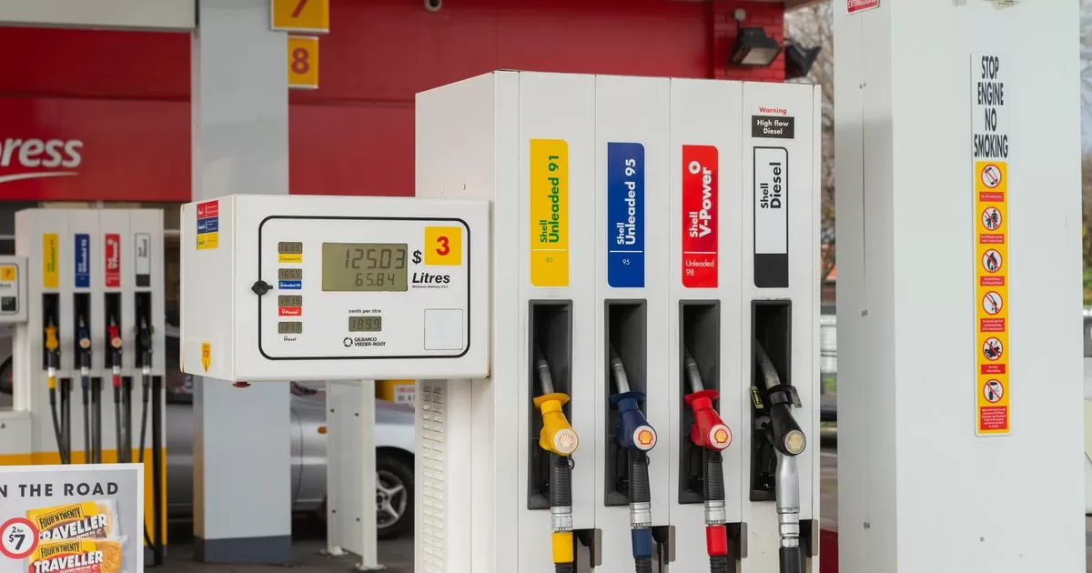 No fuel rationing in Australia yet, but consider working from home – Bowen