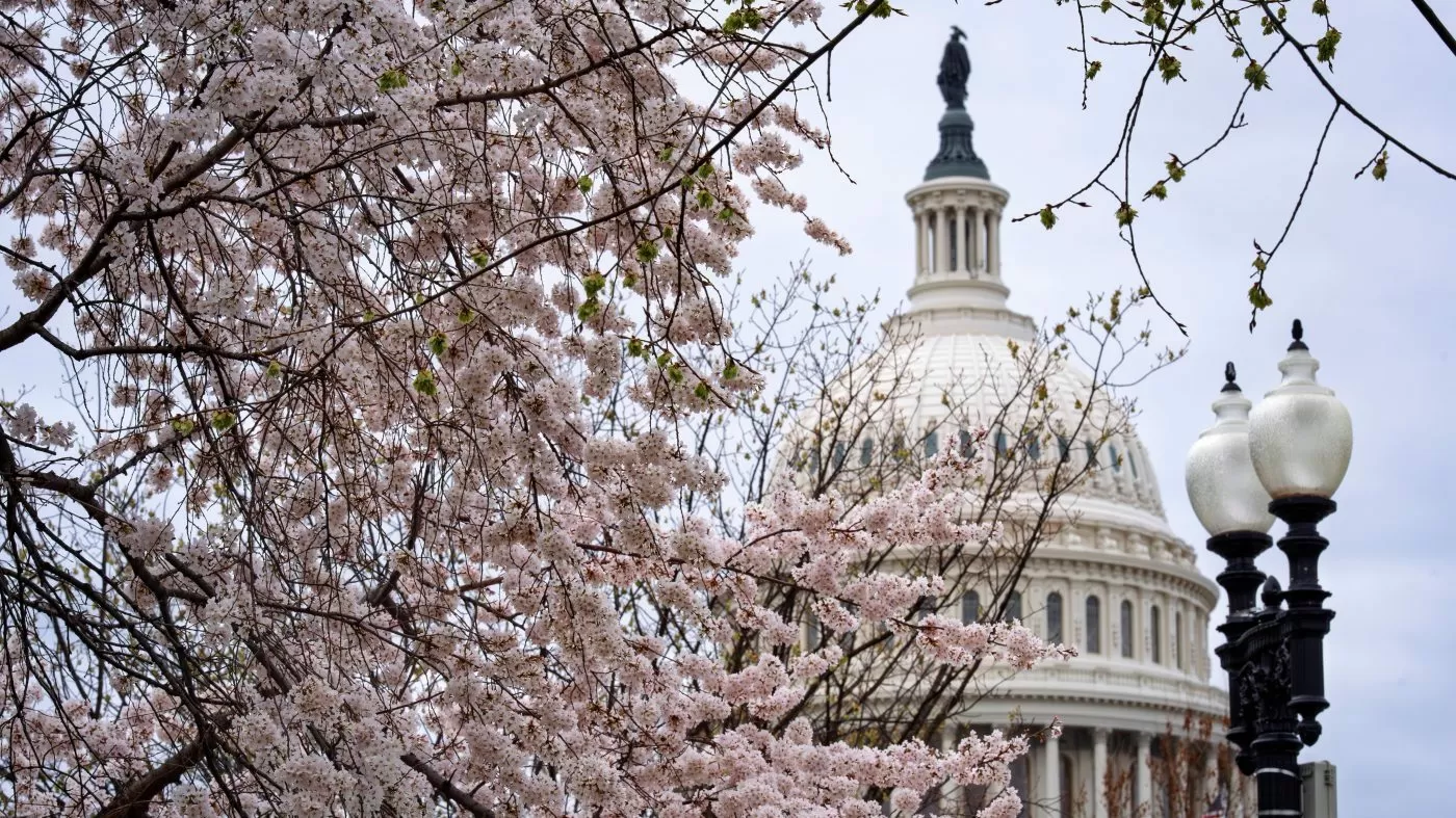Approval of Congress falls to just 10 percent: Gallup