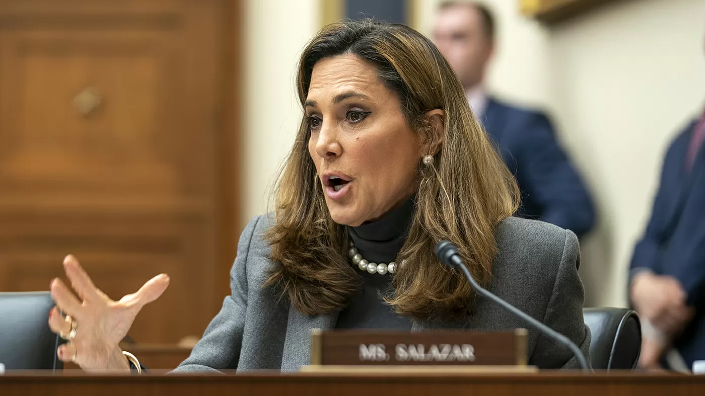 The Movement: Anatomy of an anti-amnesty pile-on